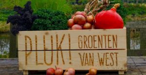 Fruittuin van West Amsterdam Onze Boeren PLUK!