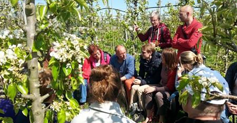 Fruittuin van West Amsterdam