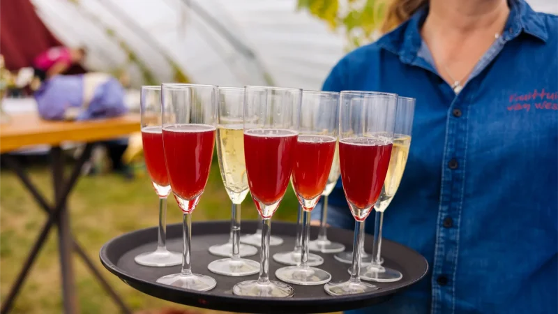 feest organiseren fruittuin van west
