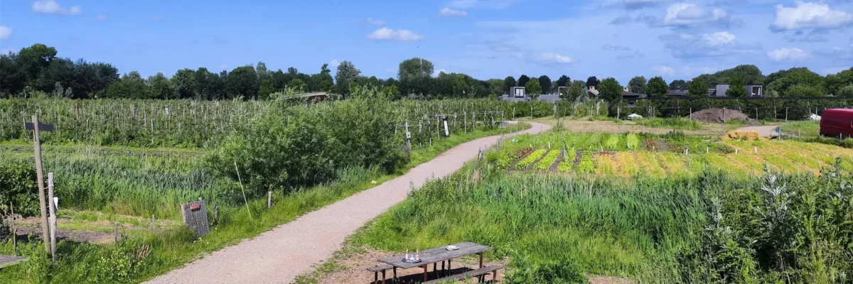 Boerderij