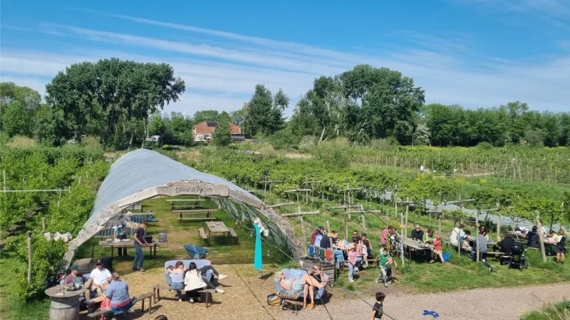 Mensen bij de fruittuin van west